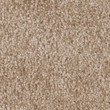 1221990 1 | National Floors Direct