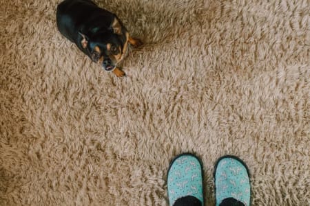 7 Reasons to Choose Carpet for Your Home